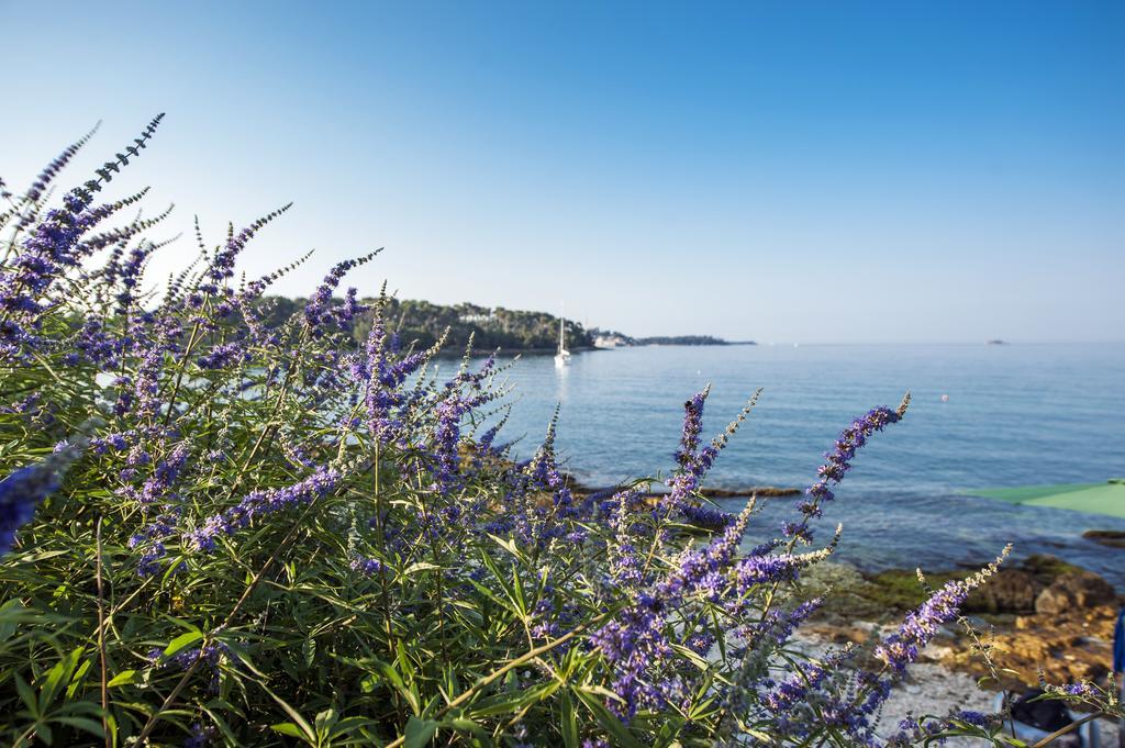 Apartments Anamarija Rovinj Pokój zdjęcie